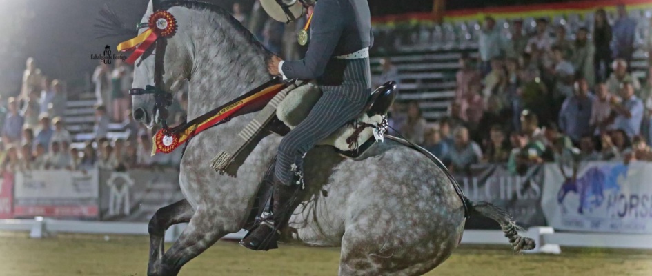 564626940_1477822330122653_2845623852669279110_n