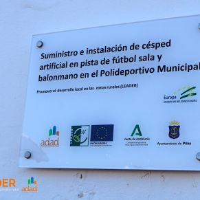 espaciosdeportivospilas3