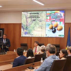 pilas acto aceituna mesa julio 2024 (10)