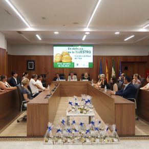 pilas acto aceituna mesa julio 2024 (6)