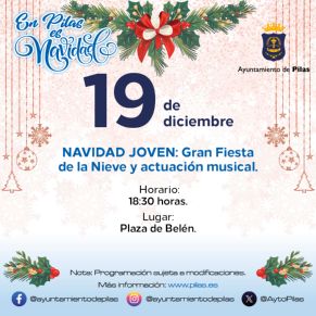 19 diciembre