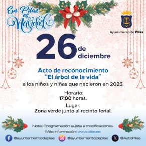 26 diciembre